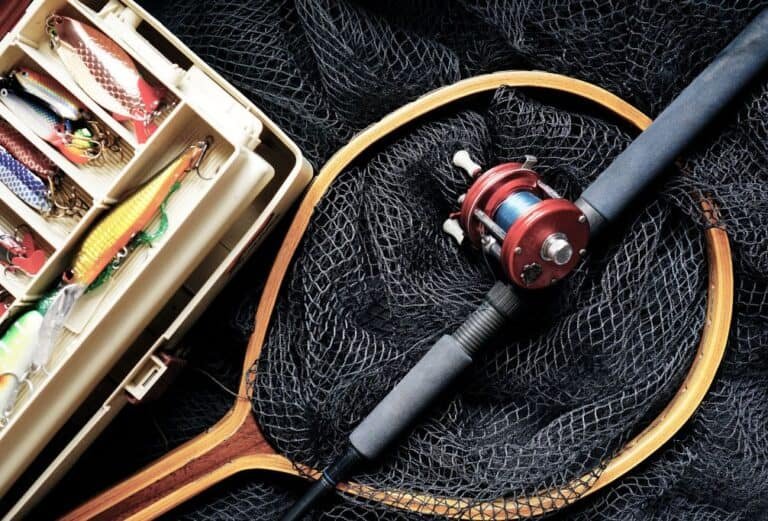7 Best Bass Fishing Rods to Buy in 2023